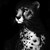:iconshadowthealpha: