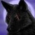 :iconshadowthehedghog1000: