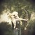 :iconshadowthorne9394: