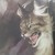:iconshadowtiger16: