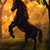shadowwind :iconshadowwind: