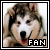:iconshadowwolf123: