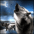 :iconshadowwolf32387: