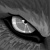 :iconshadowwolf3690: