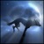 :iconshadowwolf6546: