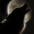 :iconshadowx1013:
