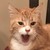 ShadowYJ :iconshadowyj: