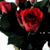 :iconShadowyuki: