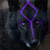 :iconshadowzelda-43: