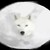 :iconshadratsu12: