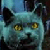 :iconshadryn: