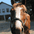 :iconshadyrider: