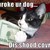:iconshadz111: