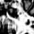 :iconshaezy:
