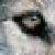 :iconshaggyginter: