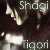 :iconshagitigori: