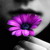 :iconshah-007:
