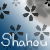 :iconshahou: