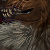 :iconshaishot: