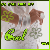 :iconshakhrizat: