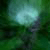 :iconshakingflesh: