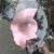 :iconshaktipat: