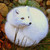 :iconshalayumgummifruits:
