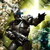 :iconshalkyer: