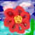:iconshalli17here: