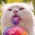 :iconshalott42: