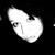 :iconshalyn-falah:
