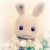 :iconsham-peyn: