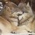 :iconshamefulsun: