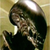 :iconshamen456: