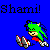 :iconshami12: