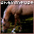 :iconshammeuse:
