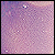 :iconshamooty: