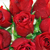 :iconshamshoma:
