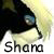 :iconshana-star-wolf: