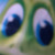 :iconshanaaz1: