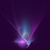 :iconshanayra: