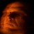 :iconshane0782: