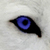 :iconShaneDiamond: