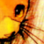 :iconshanila: