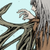 :iconshanimed: