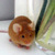 :iconshann-0n: