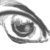 :iconShannaBob: