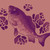 :iconshannon-kai: