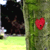 :iconshannon-m: