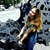 :iconshannon-shade: